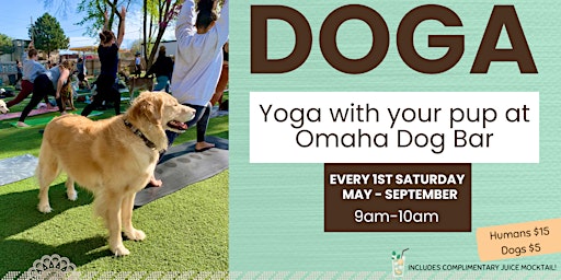 Doga at Omaha Dog Bar primary image