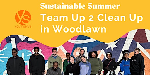 Team Up 2 Clean Up in Woodlawn primary image