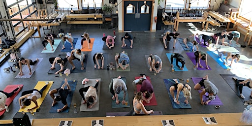 YYC Yoga & Beer! primary image