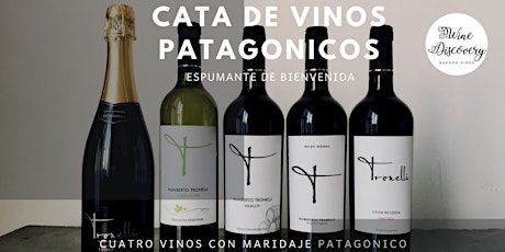 Imagen principal de Cata de Vinos Patagónicos - Bodega Humberto Tronelli