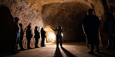 Imagem principal de Historic Cave Tour