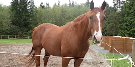 Farm Tour! Horsekeeping in Winter Wet primary image