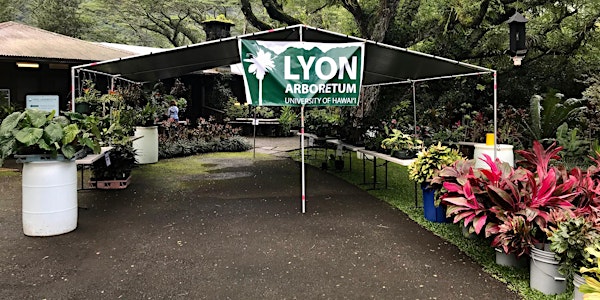Lyon Arboretum Spring Plant Sale 2024