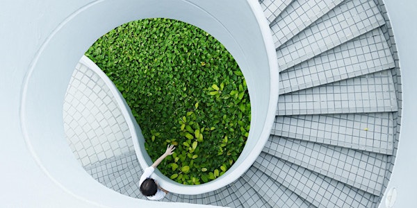 Making Investments that Align with Your Values