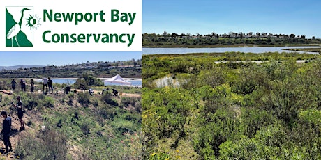 Bayview Restoration Day at The Upper Newport Bay primary image