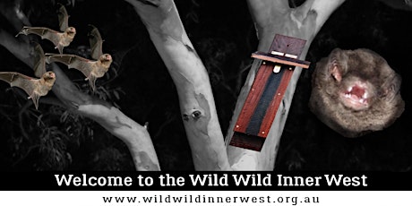Wild Wild Inner West: Microbat Roost Box Building Workshop primary image