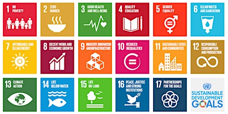 The data challenges of UN's Sustainable Development Goals primary image
