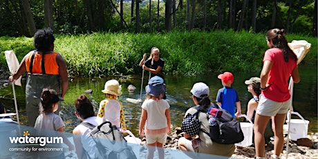 Waterbug Sampling - Clagiraba