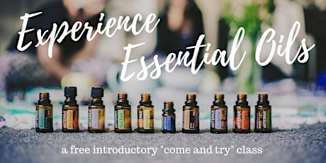 Experience Essential Oils - natural solutions for mind + body + home primary image