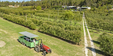 Fruit Picking Tour with Tractor Ride - Bickley Harvest Festival primary image