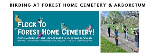 Collection image for Birding at Forest Home Cemetery & Arboretum