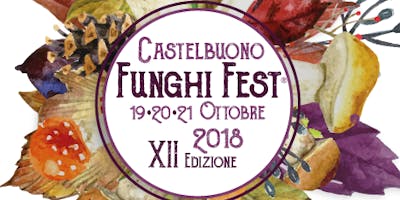 Funghi fest 2018 Funghi fest 2018