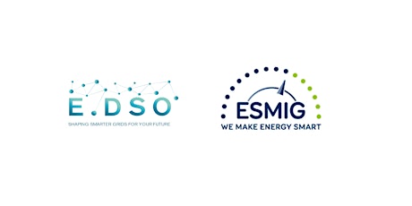 E.DSO/ESMIG Webinar primary image