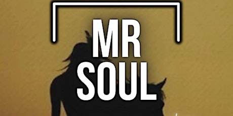 Mr Soul - A Tribute to Neil Young/Crazy Horse