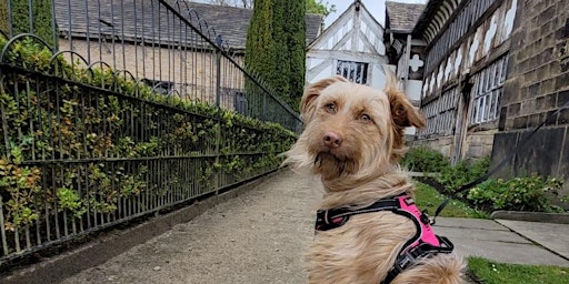 Image principale de Fun Dog Show at Smithills Hall - 2024