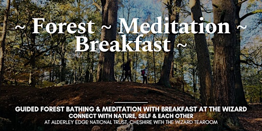 Forest Bathing, Meditation & Breakfast Morning primary image