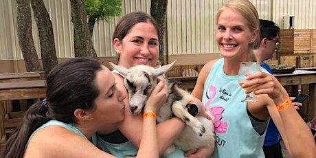 Happy Hour with GOATS - 6/2/23 - In the Loop Brewing, LOL