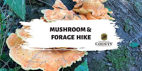 Mushroom and Forage Hike