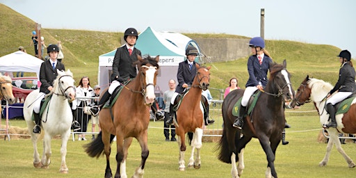 Primaire afbeelding van Family Fun Day at Fort Purbrook