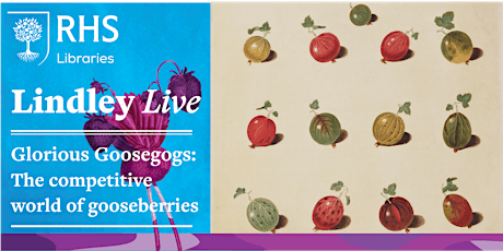 Lindley Live: Glorious Goosegogs - The competitive world of gooseberries