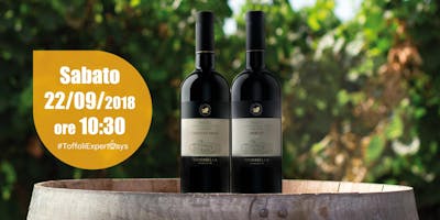 Degustazione con sommelier vini Cantina Tomasella e gourmet Degustazione con sommelier vini Cantina Tomasella e gourmet