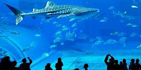 New Englang Boston Aquarium Adult Group Ticket