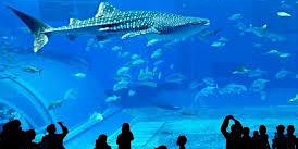 Immagine principale di New Englang Boston Aquarium Adult Group Ticket 