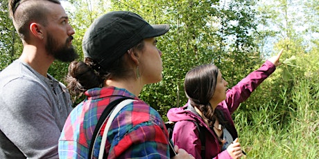 Hauptbild für Wild Edible and Medicinal Plant Walk: Mercer Slough