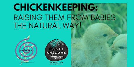 Natural Chickenkeeping: from chickhood!