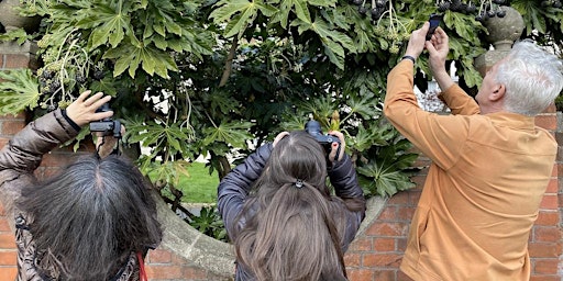 Primaire afbeelding van Mindful Photography Workshop for Wellbeing at St. Margaret's House