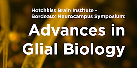 HBI/Bordeaux Neurocampus Symposium - Advances in Glial Biology primary image