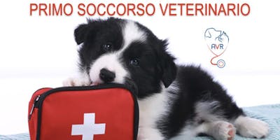 PRIMO SOCCORSO VETERINARIO PRIMO SOCCORSO VETERINARIO