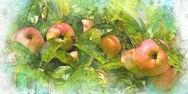 Apples, Pears, Persimmons and Pomegranates