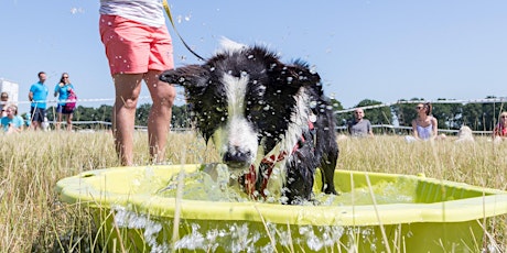 Dogs' Day Out - a Battersea Event primary image