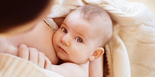 Imagem principal do evento Breastfeeding - WEISSBLUTH PEDIATRICS (BUCKTOWN)