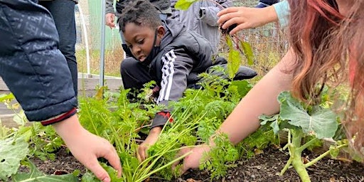 Primaire afbeelding van Evening in the Garden