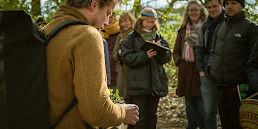 Primaire afbeelding van Kruidenwandelingen en workshop eetbare bloemen in het Buijtenland van Rhoon