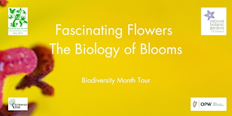 Biodiversity Month Guided Tour: Fascinating Flowers - The Biology of Blooms