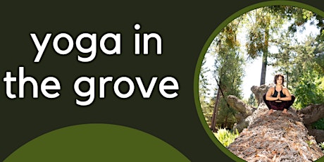 Yoga in the Grove: Horse & Plow