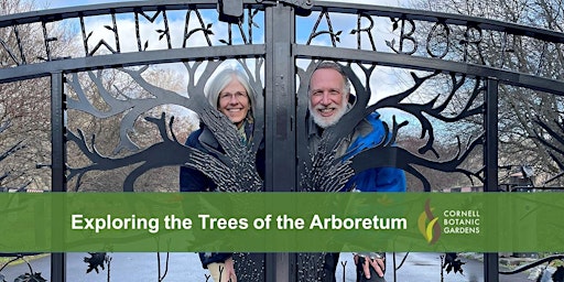 Exploring the Trees of the Arboretum primary image