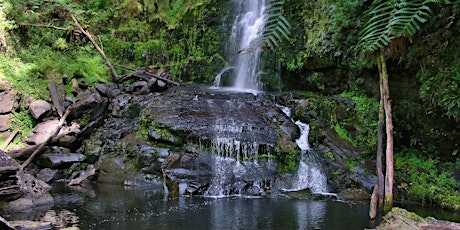 A Day Trip with the Ascended Masters (From Geelong to Lorne) primary image