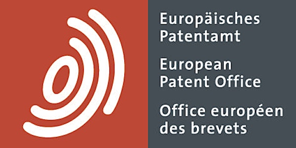 Insights into the European Patenting System 