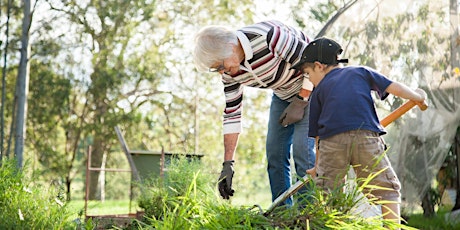 Immagine principale di Looking after waterways information session - Willunga 