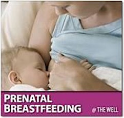 Prenatal Breastfeeding - Cranberry/Seven Fields primary image