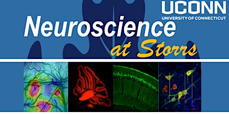 Neuroscience at Storrs 2018 primary image