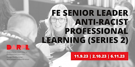 FE Senior Leader Anti-Racist professional learning (Series 2) primary image