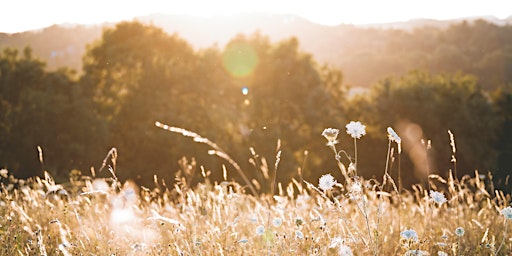 Hauptbild für Climate Emotions Retreat