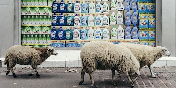Transhumance avec les Bergers urbains de Paris à Saint-Denis