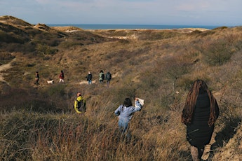 Discover wild Medicinal plants while Hiking in the Dunes