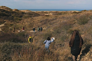 Image principale de Discover wild Medicinal plants while Hiking in the Dunes
